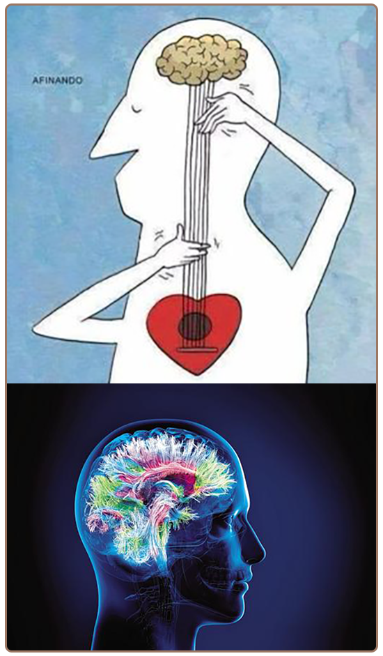 Ateliers & séances de groupe - Maracon Ateliers & séances de groupe - Maracon