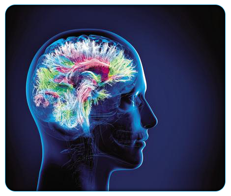 Ateliers & séances de groupe - Maracon